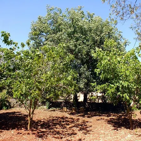 Guelsen -doga Manzarali Bahce Kati