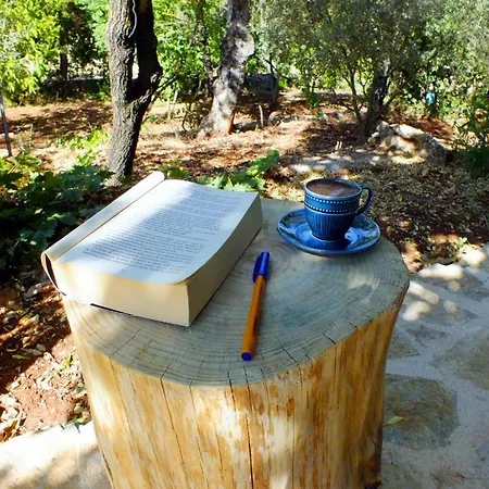 Guelsen -doga Manzarali Bahce Kati Apart-hotel Kas